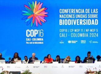 Armenia será el anfitrión de la COP17 en 2026